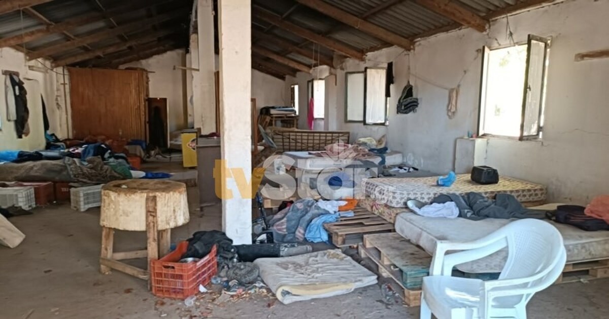 Βοιωτία: Μετωπική σύγκρουση φορτηγών - Απεγκλωβίστηκε οδηγός [βίντεο] - εικόνα 2