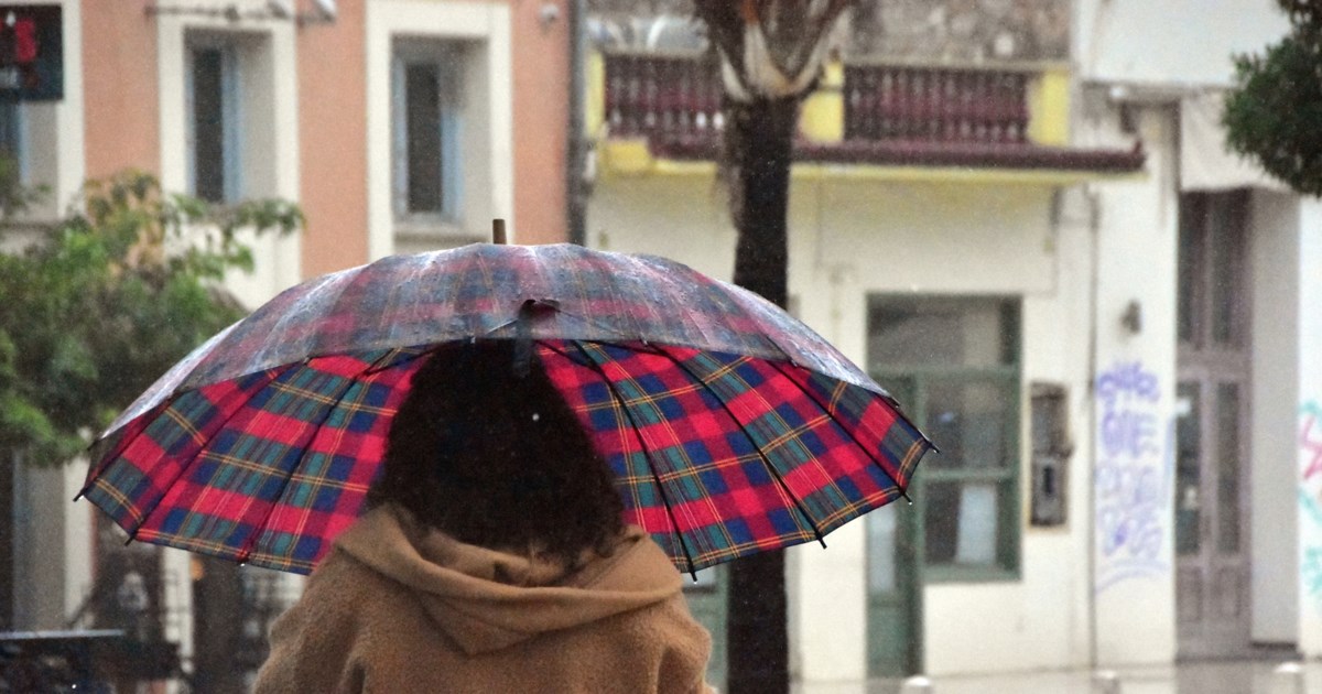 Προσοχή: Επέστρεψαν οι μωβ μέδουσες στις ελληνικές θάλασσες - Το σχέδιο αντιμετώπισης