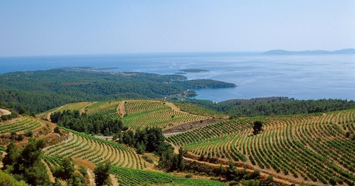 Πόρτο Καρράς: Τελειώνει το 5ετές σήριαλ για την πώληση του ξενοδοχείου στον Ιβάν Σαββίδη - Οι διάσημοι πελάτες του - εικόνα 2