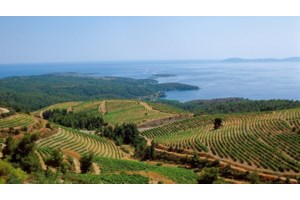 Πόρτο Καρράς: Τελειώνει το 5ετές σήριαλ για την πώληση του ξενοδοχείου στον Ιβάν Σαββίδη - Οι διάσημοι πελάτες του - εικόνα 2