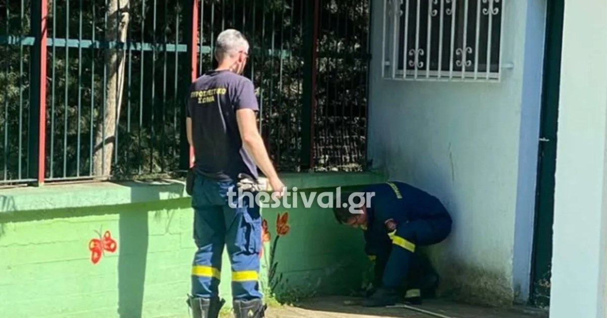 Θεσσαλονίκη: 48χρονος εντοπίστηκε να σφάζει αρνί σε εγκαταλελειμμένο κτίριο