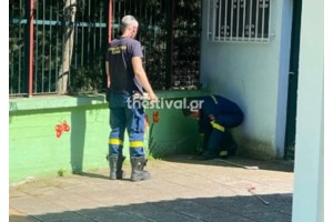 Θεσσαλονίκη: 48χρονος εντοπίστηκε να σφάζει αρνί σε εγκαταλελειμμένο κτίριο
