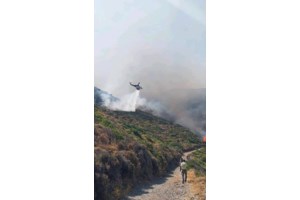 Κόρινθος: Φωτιά κοντά στο πεδίο βολής του στρατού - Ισχυρές πυροσβεστικές δυνάμεις και μήνυμα 112 για μαύρους καπνούς - εικόνα 3