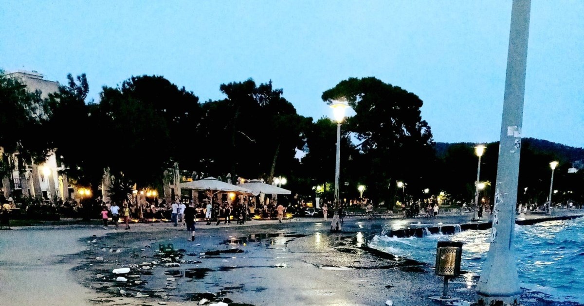 Ηράκλειο: Γέμισε νεκρά ποντίκια το ενετικό λιμάνι - Τι συνέβη [εικόνες] - εικόνα 4