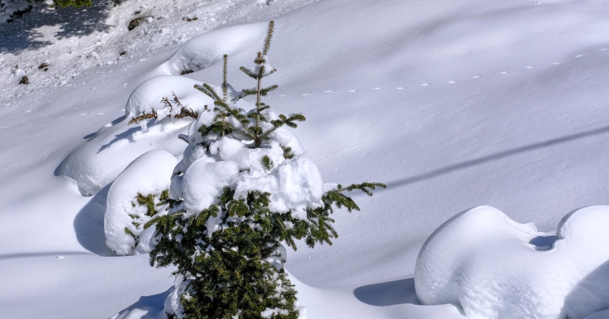 Με ανοιξιάτικο καιρό η Πρωτοχρονιά: Στους 18 βαθμούς η θερμοκρασία - Πότε να περιμένουμε "χιονοεκπλήξεις"