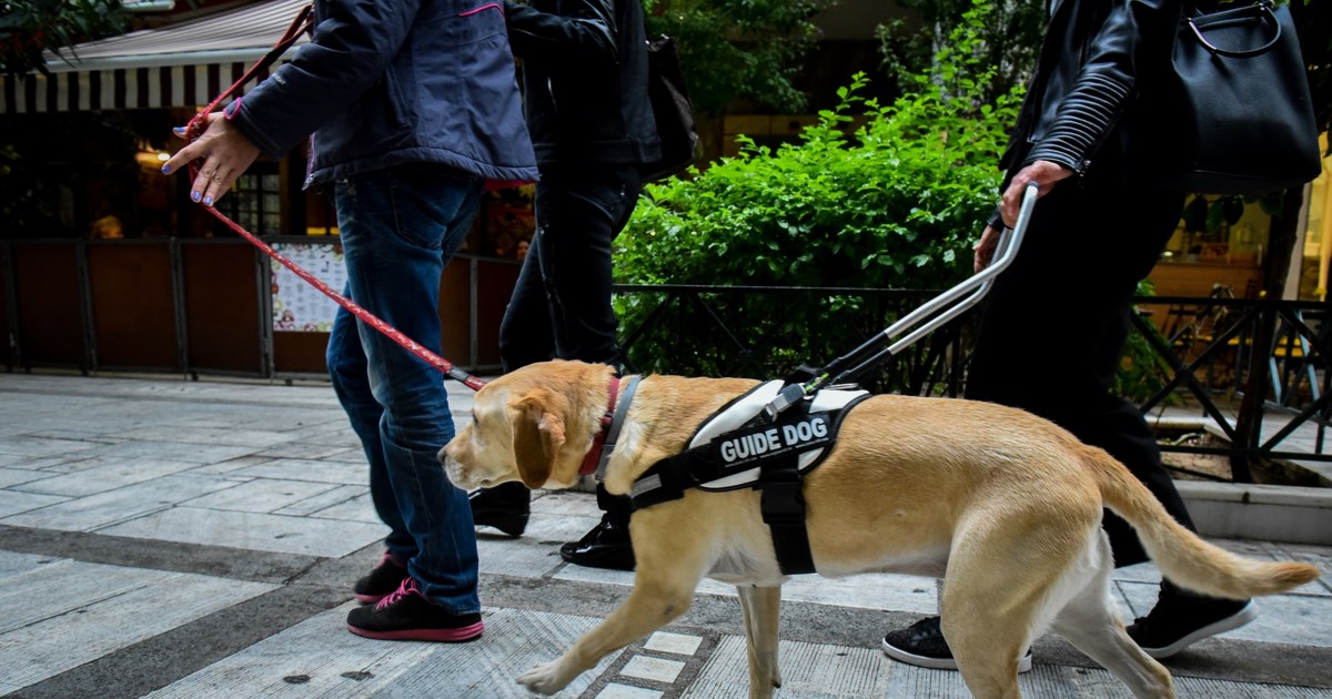Αεροδρόμιο Ελ. Βενιζέλος: Οδηγός ταξί απείλησε με μαχαίρι συνάδελφό του για την κούρσα [βίντεο]