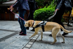 "Δεν είναι κατοικίδιο, είναι τα μάτια μου": Η συγκλονιστική κατάθεση ψυχής της παραολυμπιονίκη Καρολίνας Πελενδρίτου