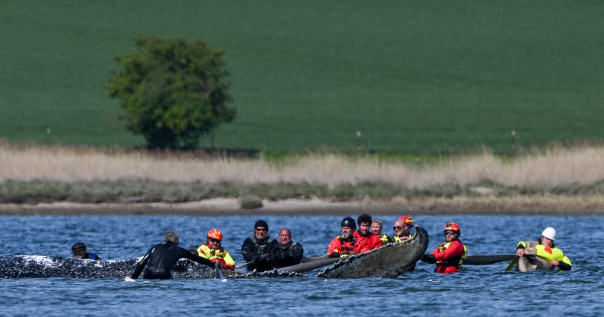 Γερμανία: Χειροπέδες στους "Αγγέλους της Κόλασης" - Η διαβόητη συμμορία ναρκωτικών, εκβιασμών και όπλων