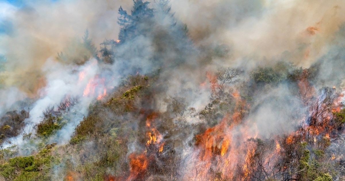 Λέσβος: Φωτιά στην Καλλονή - Κοντά στο γήπεδο "Κώστας Κεντέρης"