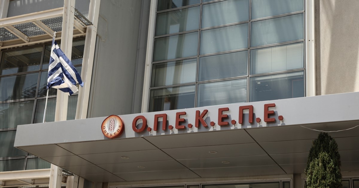 Εφοδος του ελληνικού FBI στα γραφεία του ΟΠΕΚΕΠΕ στην Αθήνα - Παρουσία Ευρωπαίου Εισαγγελέα