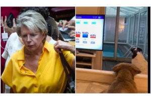 Σπίρτζης: Όταν έχει μείνει 7% στον ΣΥΡΙΖΑ είναι λογικό να προηγείται ο Κασσελάκης - Θα φύγω αν εκλεγεί ξανά - εικόνα 3