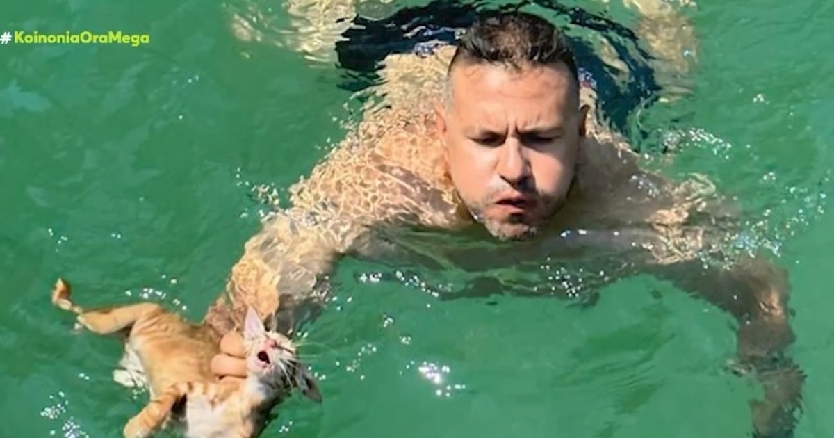 Ρόδος: Πρόστιμο 120.000 ευρώ σε 76χρονο που εγκατέλειψε τέσσερα γατάκια