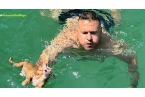 Ρόδος: Πρόστιμο 120.000 ευρώ σε 76χρονο που εγκατέλειψε τέσσερα γατάκια