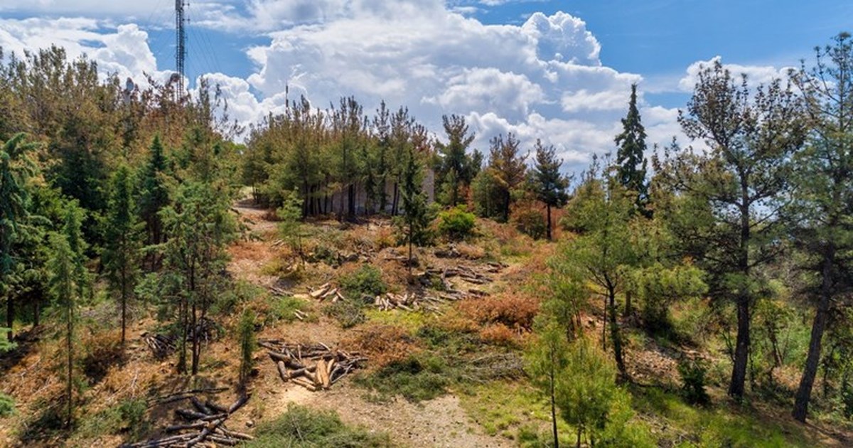 Μπέος σε κτηνοτρόφους: Οι κοπρίτες βουλευτές να κόψουν λεφτά από τον μισθό τους και να σας τα μοιράσουν [βίντεο]