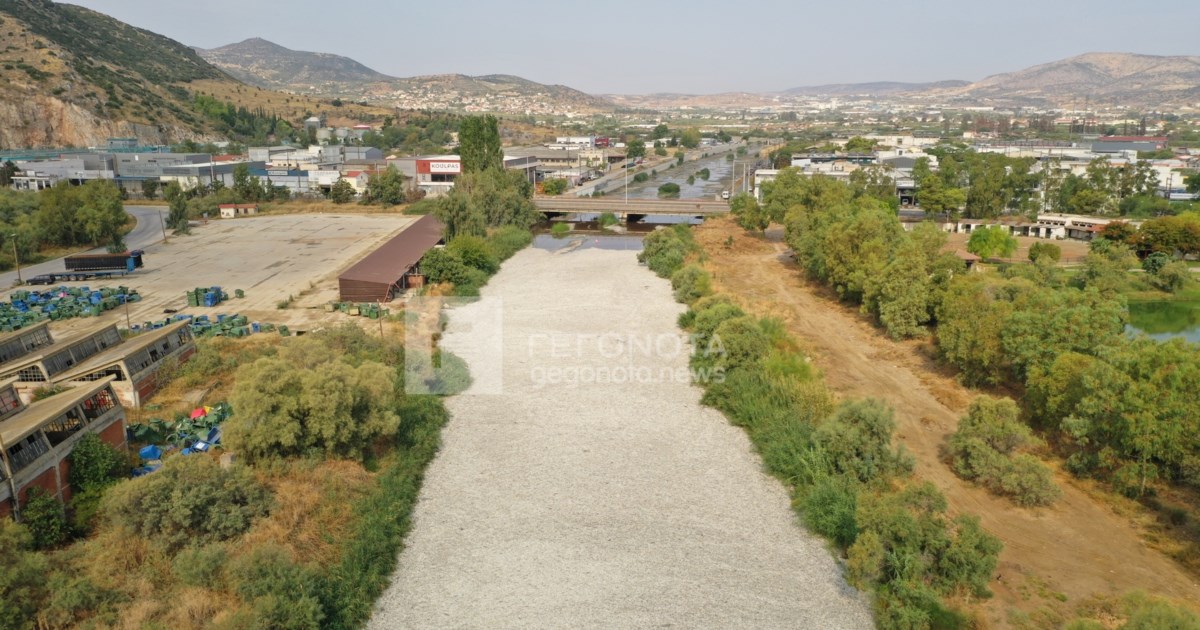 Βόλος: Τοποθετήθηκε και δεύτερο πλέγμα στον Ξηριά για την συγκράτηση των νεκρών ψαριών [εικόνες] - εικόνα 8