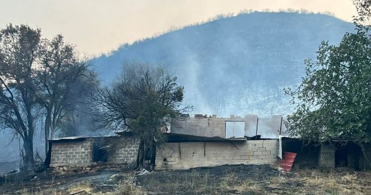 Δραματικές ώρες με τη φωτιά στην Πάρνηθα: Καίγονται σπίτια, εκκενώνονται οικισμοί και η Αμυγδαλέζα - Αγνοείται 77χρονος - εικόνα 12