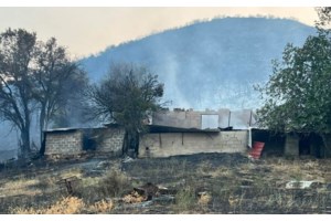 Δραματικές ώρες με τη φωτιά στην Πάρνηθα: Καίγονται σπίτια, εκκενώνονται οικισμοί και η Αμυγδαλέζα - Αγνοείται 77χρονος - εικόνα 12