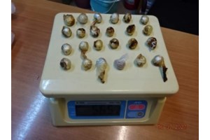 Φυλακές Μαλανδρίνου: Βρέθηκαν μαχαίρια, ναρκωτικά, κινητά και... ρούτερ - Συνελήφθησαν 17 έγκλειστοι - εικόνα 3