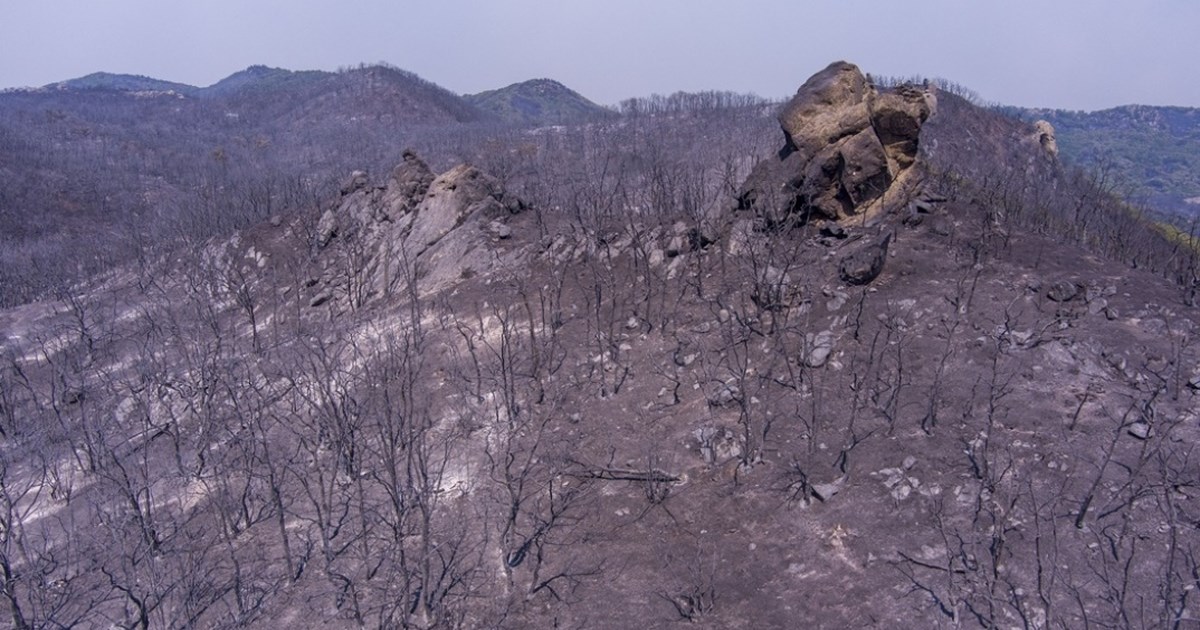 Μαρινάκης για φωτιές: Την Τρίτη σύσκεψη στο Μαξίμου- Την Πέμπτη η συζήτηση στη Βουλή