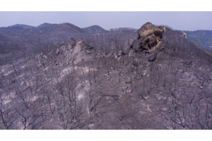 Μαρινάκης για φωτιές: Την Τρίτη σύσκεψη στο Μαξίμου- Την Πέμπτη η συζήτηση στη Βουλή