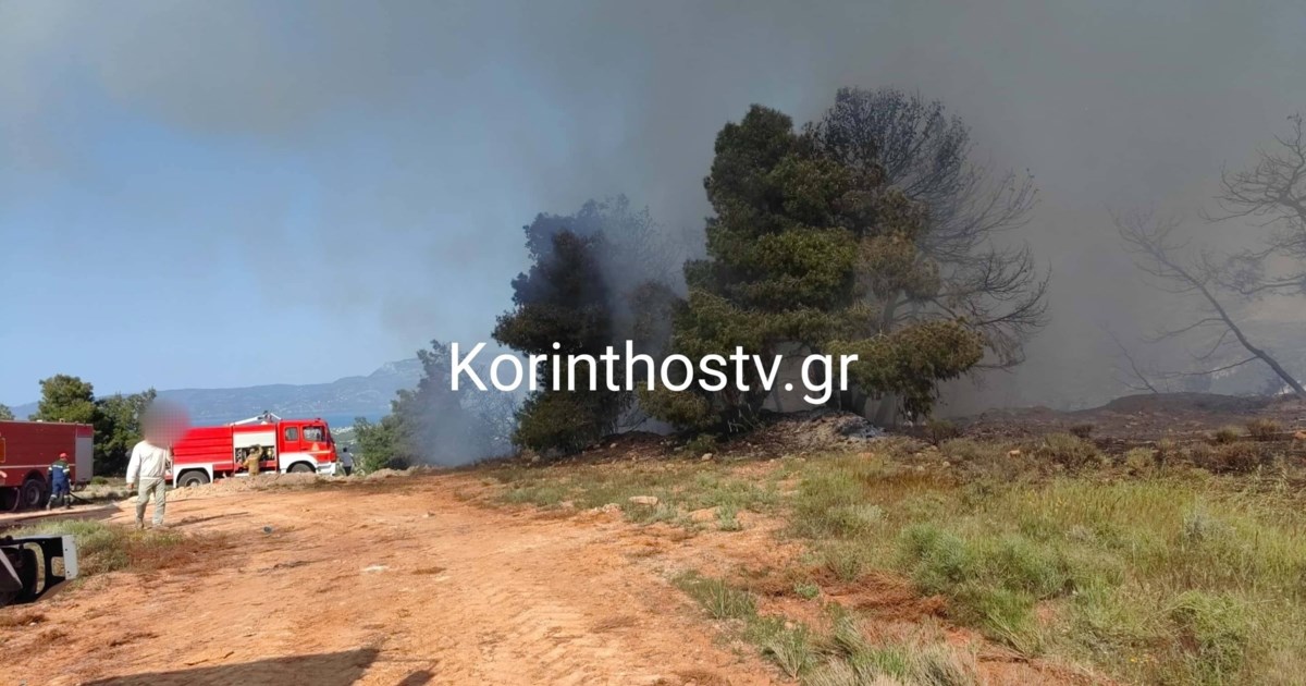 Φωτιά στην Πάρνηθα: Κάτω από το καζίνο - Στη μάχη τέσσερα πυροσβεστικά αεροσκάφη - εικόνα 3
