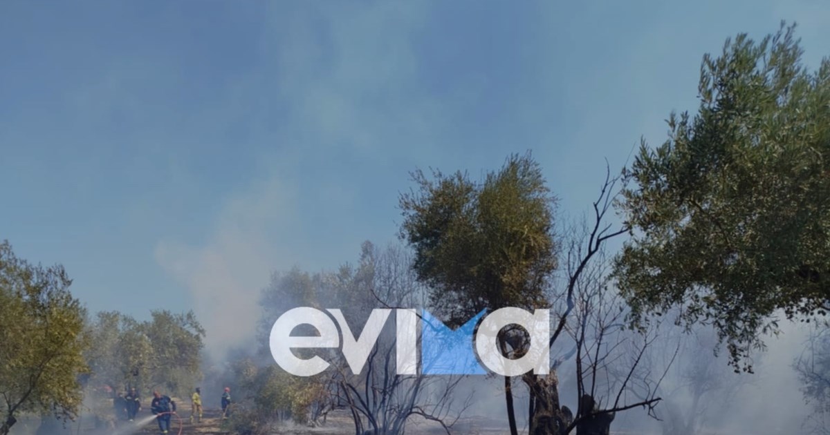 Φωτιά στην Πρέβεζα: Μήνυμα "112" σε τρεις οικισμούς - Επιχειρούν ισχυρές εναέριες δυνάμεις