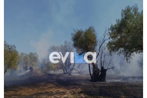 Φωτιά στην Πρέβεζα: Μήνυμα "112" σε τρεις οικισμούς - Επιχειρούν ισχυρές εναέριες δυνάμεις