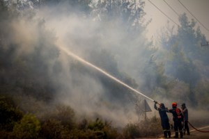 Αποκάλυψη: Πώς ξέφυγε η μεγάλη φωτιά στη Ρόδο το 2023- Η Πυροσβεστική δεν επενέβη άμεσα, τα εναέρια μέσα έφθασαν μετά από 22 λεπτά... - εικόνα 2