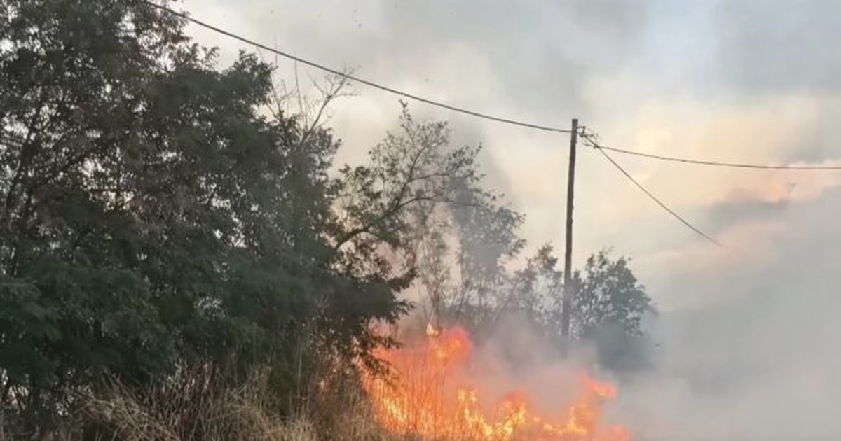 Φωτιά στην Μακύνεια Ναυπακτίας - Ισχυρές δυνάμεις στο σημείο [βίντεο]