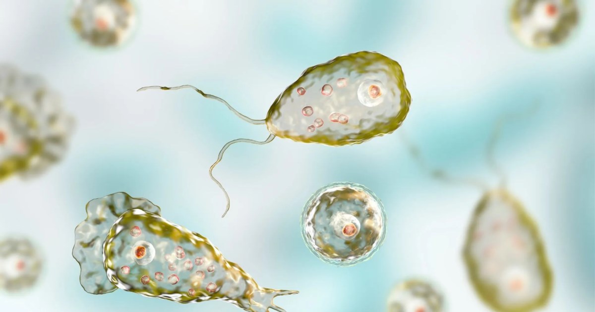 ΗΠΑ: Η στιγμή που άνδρας με σχιζοφρένεια και βίαιο παρελθόν αρπάζει κοριτσάκι από εμπορικό κέντρο [βίντεο] - εικόνα 4