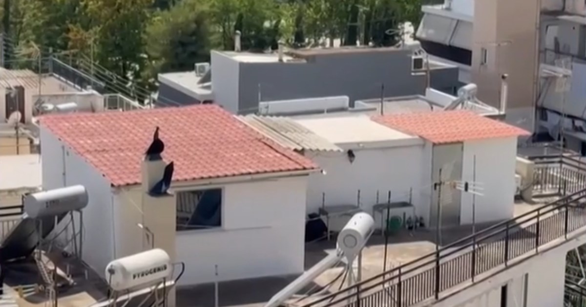 Περιστέρι: Αποκαλύψεις για τα έξι παιδιά στην 