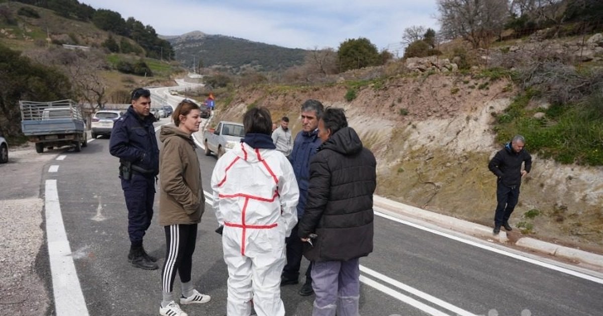 Ξεκίνησε ο αποκλεισμός του λιμανιού της Μυτιλήνης από τους κτηνοτρόφους -  Λουκέτο μέχρι τη Δευτέρα το βράδυ