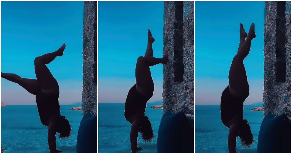 Νέα φιλενάδα στη ζωή της Δανάης Μπάρκα: Γνωρίστε την Τσοπάνα, τη νέα σκυλίτσα που υιοθέτησε