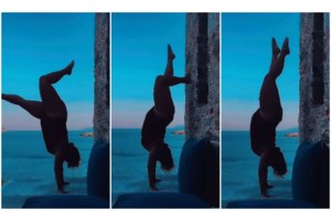 Νέα φιλενάδα στη ζωή της Δανάης Μπάρκα: Γνωρίστε την Τσοπάνα, τη νέα σκυλίτσα που υιοθέτησε