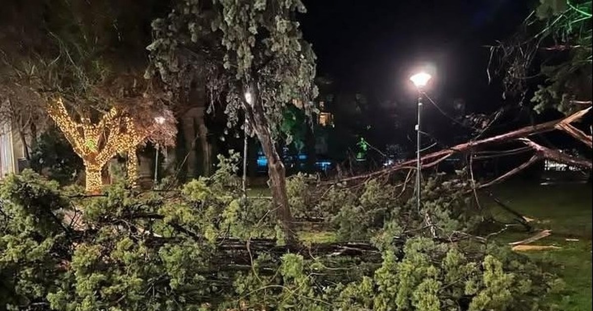 Αλεξανδρούπολη: Πανικός σε πιτσαρία από τους θυελλώδεις ανέμους - Εσπασαν τζάμια, έτρεχαν να σωθούν [βίντεο] - εικόνα 4