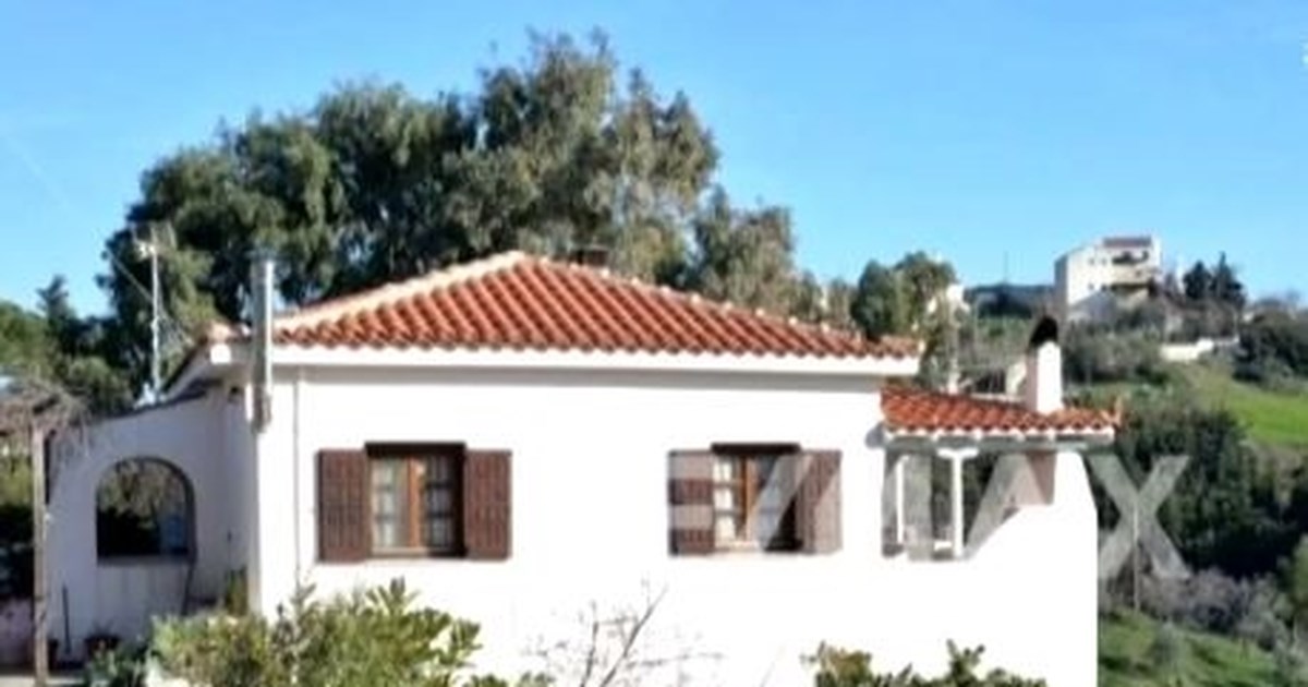 Δολοφονία Καρολάιν: Ο ετεροθαλής αδερφός της αγοράζει το σπίτι στην Αλόννησο - Τι αποκάλυψε ο Ντέιβιντ Κράουτς