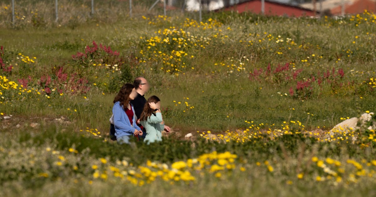 Ανοιξιάτικος ο καιρός έως την 25η Μαρτίου: Με 20άρια, αφρικανική σκόνη και λασποβροχές οι παρελάσεις - Πρόβλεψη Τσατραφύλλια - εικόνα 2
