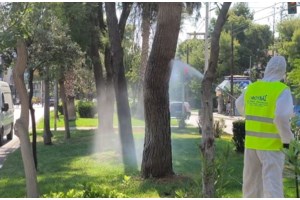 Ιός του Δυτικού Νείλου: Πρώτο κρούσμα στην Κρήτη - Ένας ηλικιωμένος στο νοσοκομείο