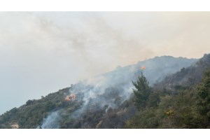 Κερατέα: Νέα φωτιά στην περιοχή Μπουζαλάδες- Ξεκίνησε από αυτοκίνητο