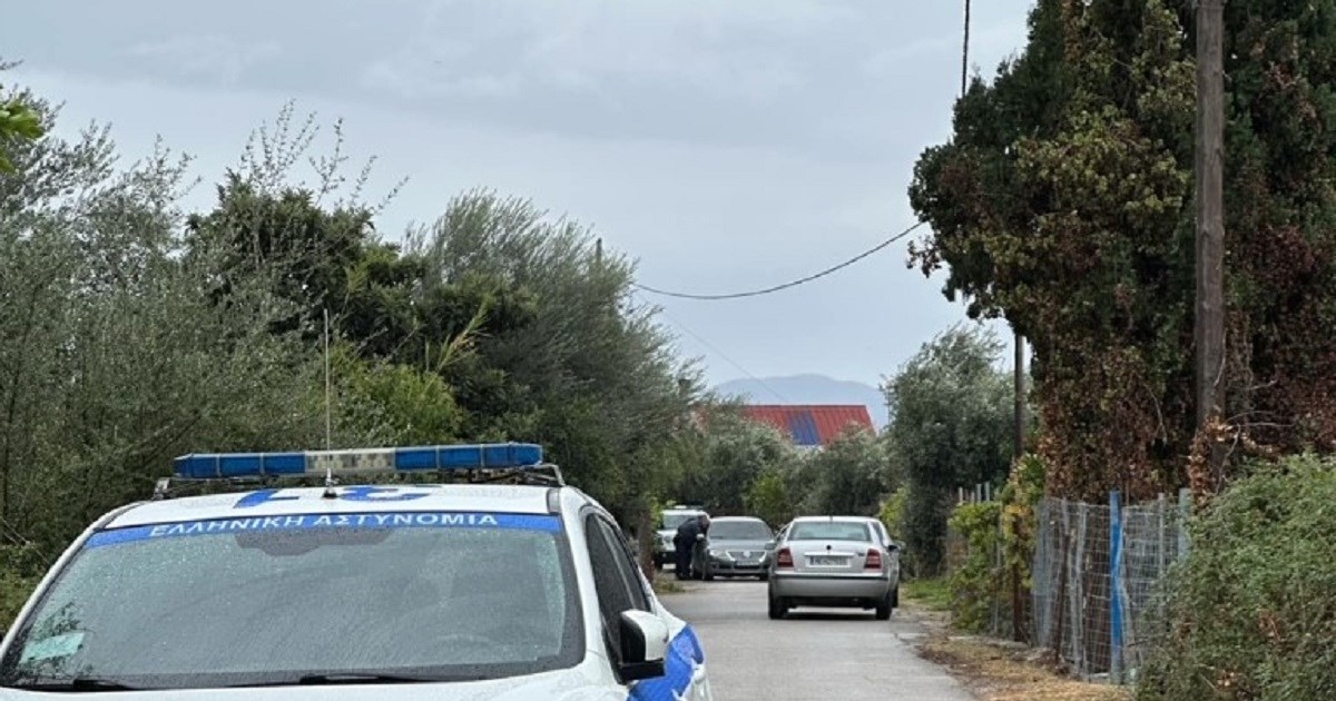 Γυναικοκτονία στη Θεσσαλονίκη: "Τον πήγε στην κουζίνα να τον ηρεμήσει και να αφήσει το μαχαίρι", λέει ο γιος της 60χρονης - εικόνα 4