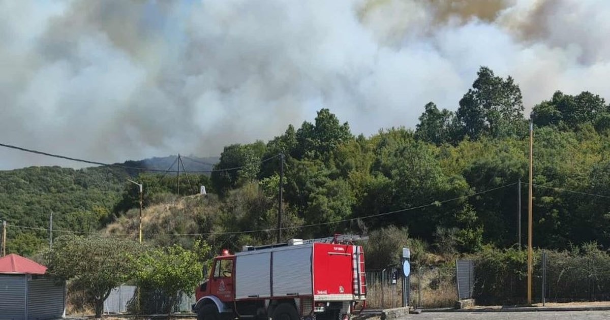 Κύπρος: Σε ύφεση η φωτιά στη Λεμεσό – Σε επιφυλακή για αναζωπυρώσεις - Κατέφθασαν δασοκομάντος από την Ελλάδα