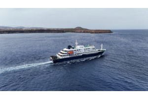 Επανεμφάνιση Σύψα για τον χανταϊό: Συνιστά χρήση μάσκας σε κλειστούς χώρους - "Εχουμε συρροή κρουσμάτων"