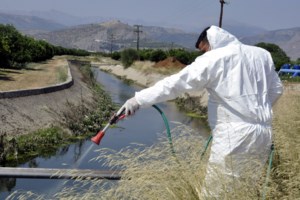 Ιός Δυτικού Νείλου: "Θα αυξηθούν τα βαριά κρούσματα μέχρι τέλος Οκτωβρίου" - Οι περιοχές στην Αττική όπου βρίσκεται σε έξαρση - εικόνα 4