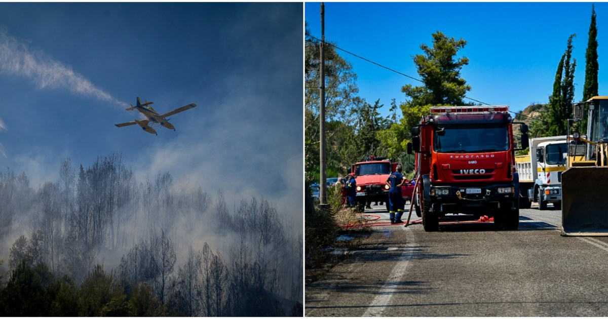 Στις 41 οι δασικές πυρκαγιές το τελευταίο 24ώρο: Πολύ υψηλός κίνδυνος φωτιάς σε 6 περιφέρειες της χώρας