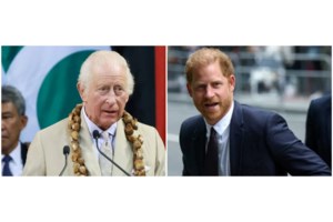 Ανησυχία για την Καμίλα: Με λοίμωξη στο αναπνευστικό η βασίλισσα - Αποσύρεται από τις δημόσιες εμφανίσεις - εικόνα 4