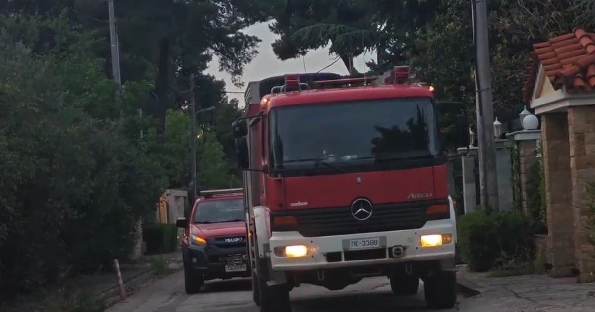 Εκάλη: Πώς έγινε η τραγωδία με την 85χρονη ΑμεΑ - Εγκλωβίστηκε με το αμαξίδιο στο ασανσέρ του σπιτιού της