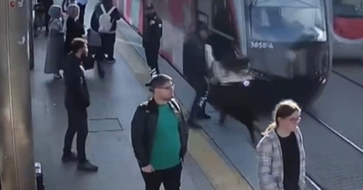 Απίστευτη τύχη για 8χρονο ποδηλάτη: Εγκλωβίστηκε κάτω από τραμ αλλά τον έσωσε το μικρό του ανάστημα [βίντεο]