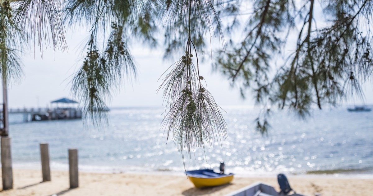 Μαρινάκης: Προσωπική πρωτοβουλία Μητσοτάκη η απαλλαγή από τον φόρο πολυτελείας των μικρών σκαφών αναψυχής