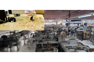 Επιχείρηση "Illuminati": Εξάρθρωση εγκληματικής οργάνωσης πλαστογραφίας εγγράφων και παράνομης διακίνησης μεταναστών - εικόνα 2