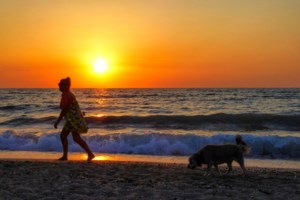 Απάτη με κάλπικες λίρες στην Πάτρα: Εδωσε 45.000 ευρώ και πήρε... φλουριά βασιλόπιτας και κέρματα